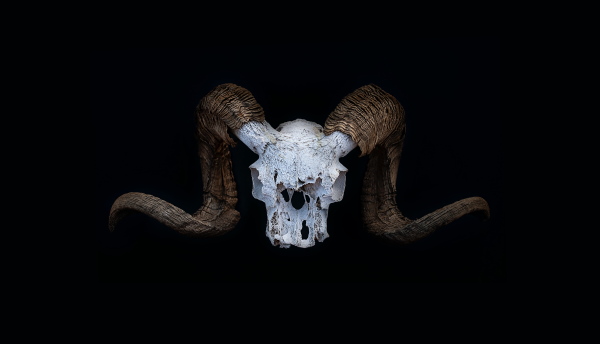 Skull Game Logo